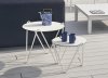Circus Garden Coffee Table