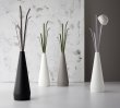 Bonaldo Kadou Coat Stand