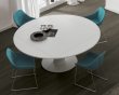 Jesse Moon Extending Dining Table