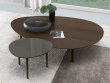 Jesse Pond Coffee Table