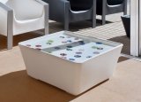 Cube Garden Coffee Table