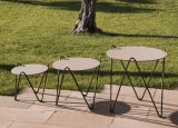 Circus Garden Coffee Table