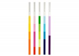 Schoenbuch Line Limited Edition Coat Rack