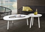 Zanotta Ninfea Coffee Table