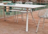 Radiesse 2.9M Garden Table