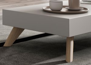 Baixa Coffee Table