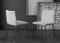 Bonaldo NEW Filly Dining Chair